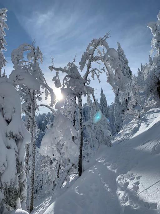 Stube9 Am Feldberg, Direkt An Der Skipiste, Ski In-Ski Out Фелдберг Екстериор снимка
