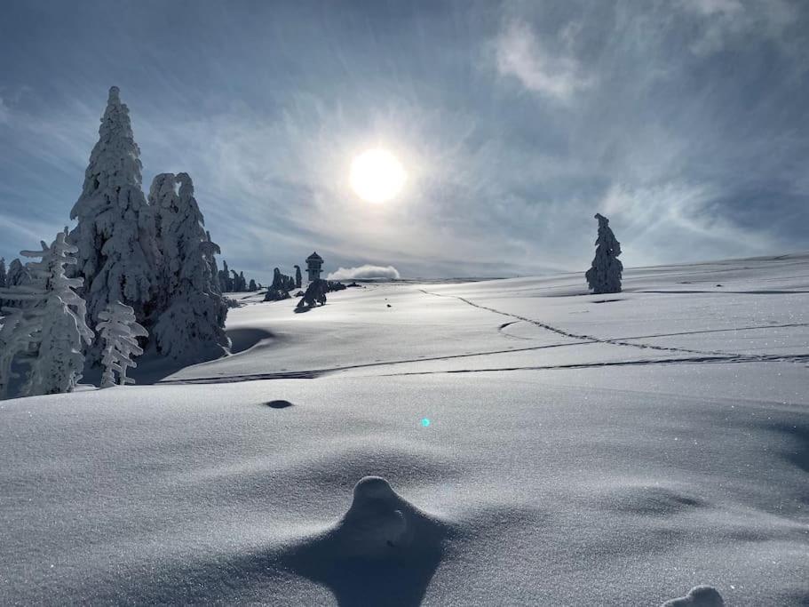 Stube9 Am Feldberg, Direkt An Der Skipiste, Ski In-Ski Out Фелдберг Екстериор снимка